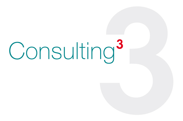 Consulting 3
